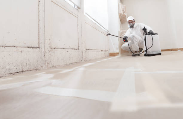 24/7 Emergency Mold Remediation experts in Marlton, NJ