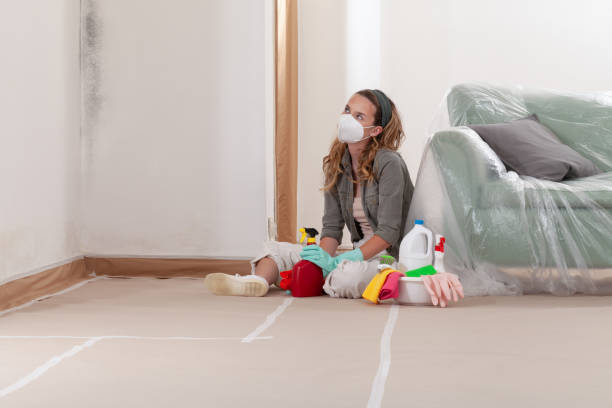 Reliable Mold Remediation contractor in Marlton, NJ by 24 Hour Mold Removal